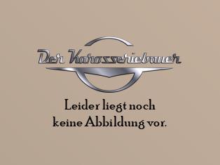 Einstiegsschiene links Cabrio B